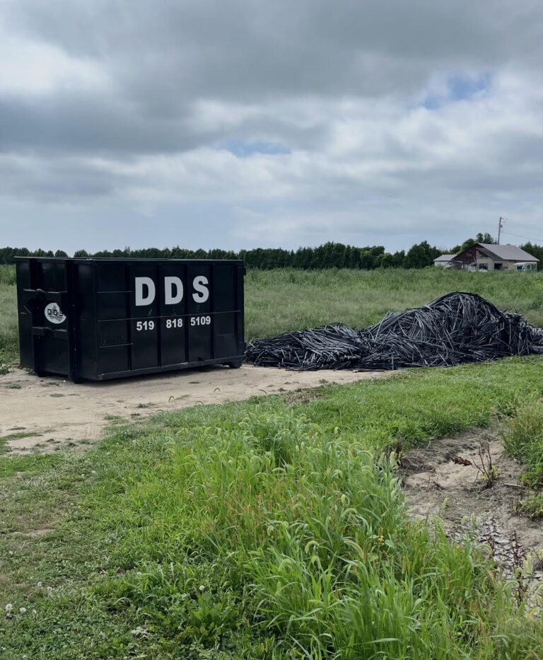 Load & Go vs. Bin Rental: Which One Works for Your Cleanup? screenshot